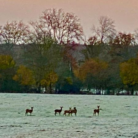 B&B Chateau De Preuil Vallenay ภายนอก รูปภาพ
