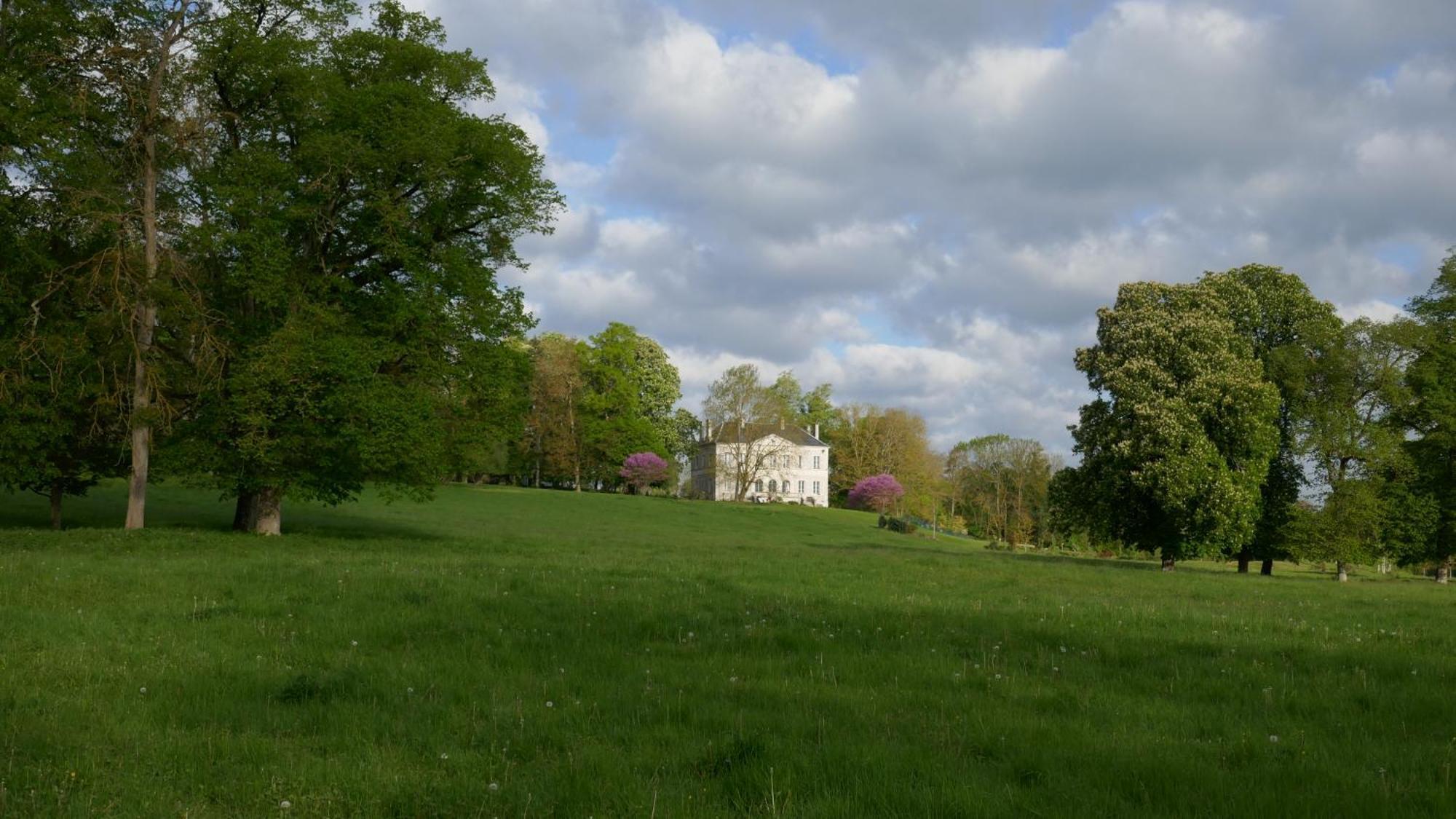 B&B Chateau De Preuil Vallenay ภายนอก รูปภาพ